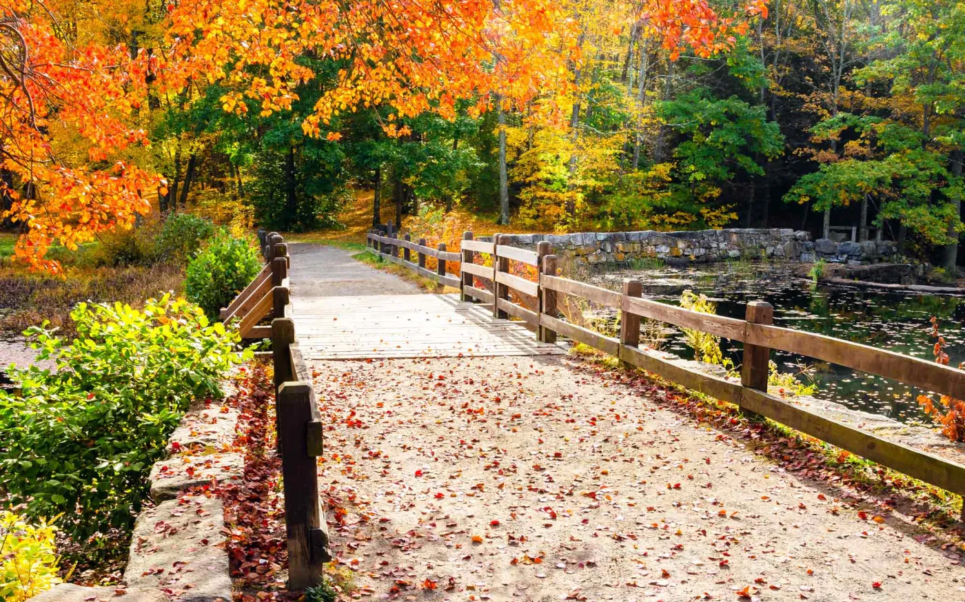 A wooden bridge spans a river surrounded by vibrant fall foliage