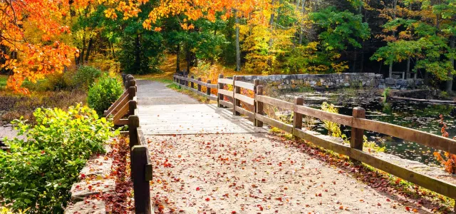 A wooden bridge spans a river surrounded by vibrant fall foliage